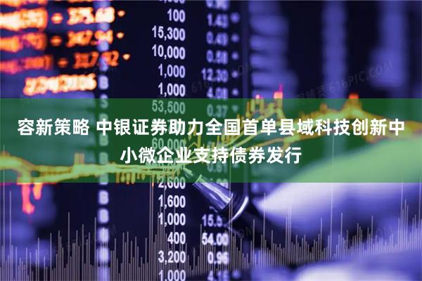 容新策略 中银证券助力全国首单县域科技创新中小微企业支持债券发行
