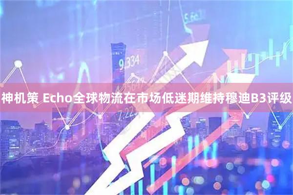 神机策 Echo全球物流在市场低迷期维持穆迪B3评级