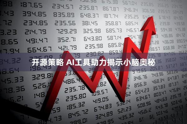 开源策略 AI工具助力揭示小脑奥秘