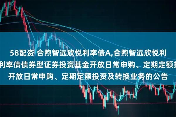 58配资 合煦智远欣悦利率债A,合煦智远欣悦利率债C: 合煦智远欣悦利率债债券型证券投资基金开放日常申购、定期定额投资及转换业务的公告