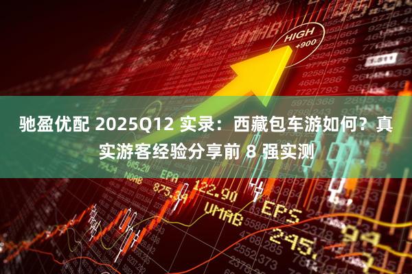 驰盈优配 2025Q12 实录：西藏包车游如何？真实游客经验分享前 8 强实测